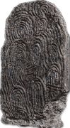 Fingerprint Stone Shield